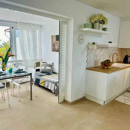 Luxury Apartment